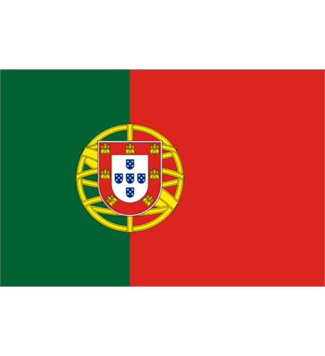 Liten Flagga portugal