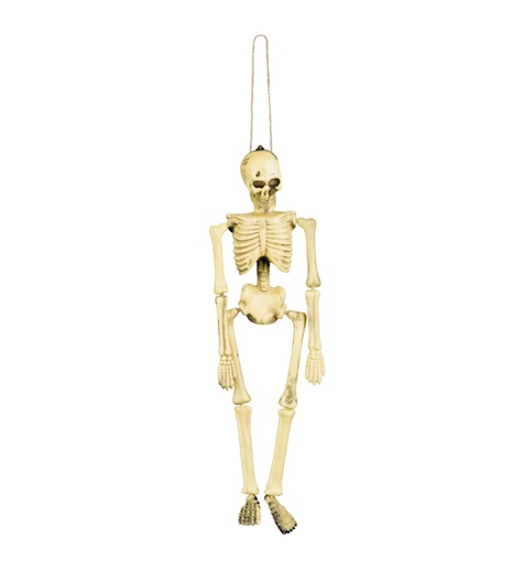 Skeleton (40 cm)
