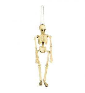 Skeleton (40 cm)