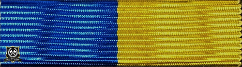 Polismyndighetens medalj för rådigt ingripande