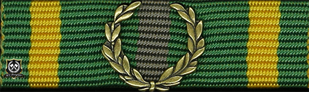 Släpspänne "Militärhögskolan Östersunds förtjänstmedalj i brons"