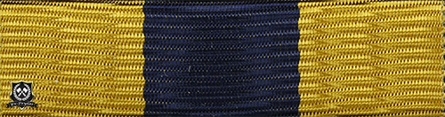 Släpspänne "Frivilliga Automobilkårens Riksförbunds förtjänstmedalj"