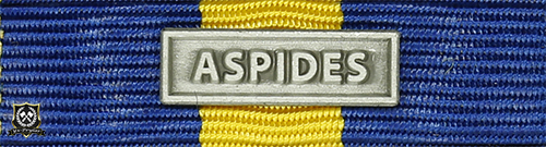 Släpspänne "EUFOR NAVFOR ASPIDES"