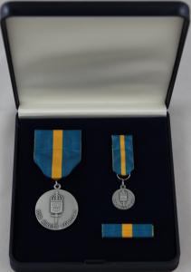 Försvarsmaktens grundutbildningsmedalj, stort set