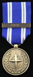NATO AMIS
