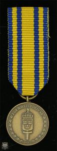 Försvarsmaktens tjänstgöringsmedalj för rikets försvar i brons