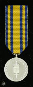 Försvarsmaktens tjänstgöringsmedalj för rikets försvar i silver
