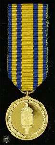 Miniatyrmedalj "Försvarsmaktens tjänstgöringsmedalj för rikets försvar i guld"