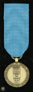 Försvarsmaktens medalj för internationella insatser i brons