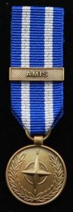 NATO AMIS