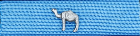 Försvarsmaktens medalj för internatioenlla insatser i brons med dromedar