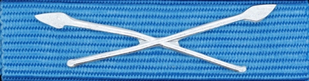 Försvarsmaktens medalj för internatioenlla insatser i brons med korslagda spjut