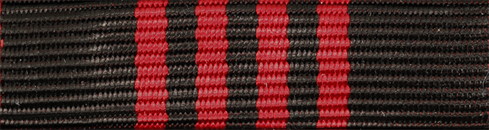 Svenska Värnpliktsofficersförbundets minnestecken i guld vid 100 årsjubileet för värnplikten