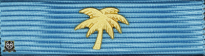 Försvarsmaktens medalj för internatioenlla insatser i brons med palm i guld