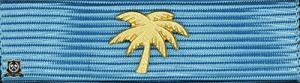 Försvarsmaktens medalj för internatioenlla insatser i brons med palm i guld