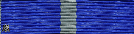 Forsvarets medalje for internasjonale operasjoner