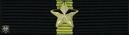 Politimedaljen med 1 stjerne (*)