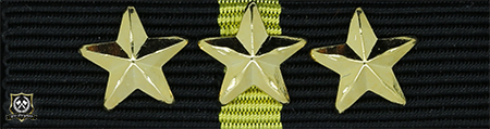 Politimedaljen med 3 stjerner (***)