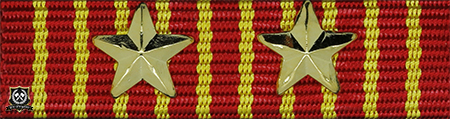 HÆRENS VERNEDYKTIGHETSMEDALJEN MED 2 STJERNER (**)