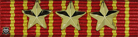 HÆRENS VERNEDYKTIGHETSMEDALJEN MED 3 STJERNER (***)