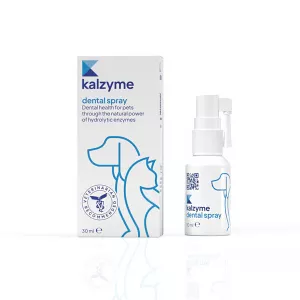 Kalzyme Dental Spray 30ml