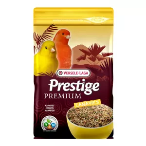 Prestige Kanariefågel