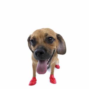 Pawz Hundstövlar Small Röd