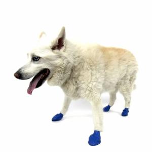 Pawz Hundstövlar Medium Blå