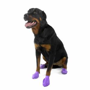 Pawz Hundstövlar Large Lila