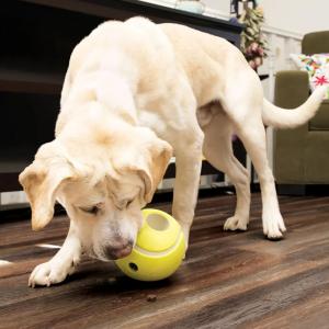 Kong Rewards Tennisball