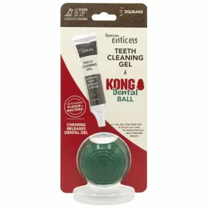Kong/tropiclean denta ball - Flera storlekar