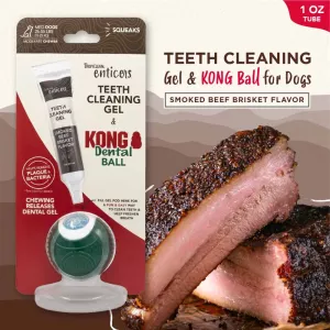 Kong/tropiclean denta ball - Flera storlekar