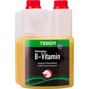 WD B-vitamin 500ml
