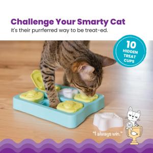 Catstages Kitty Kubspel