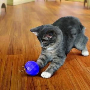 Kong kattgodisboll