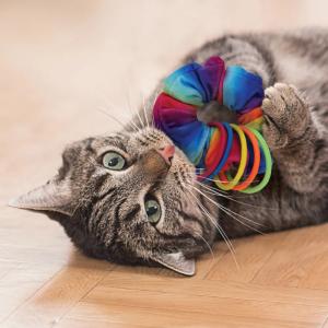 Kong Cat Active Scrunchie Kattleksak