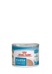 Royal Canin Mother & Babydog Starter Mousse 195g