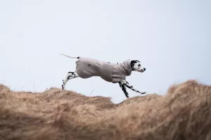 Non Stop Drying coat sand