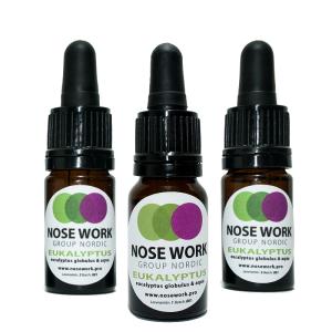 Hydrolat Eukalyptus Kit Pro