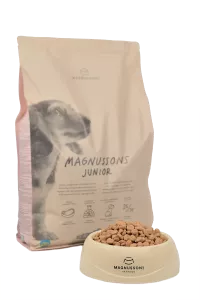 Magnusson Junior