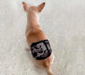 Finnero Skvättskydd, JustinCase, Militär- Flera storlekar