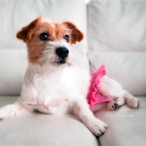 Finnero Tikskydd, Ballerina Rosa - Flera storlekar