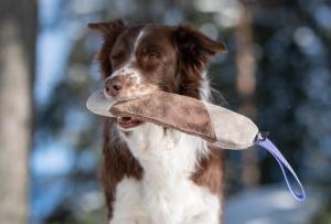 Joy of dog sport mighty tug toy leather lilac *Förköp - få 10% rabatt