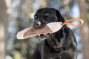 Joy of dog sport mighty tug toy leather orange *Förköp - få 10% rabatt