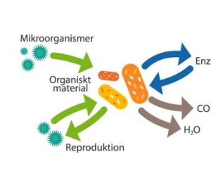 Natur-ligt RENT 200ml