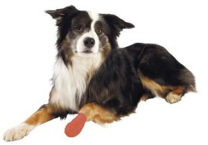 Bandagelinda, självhäftande 5cmx4,5m