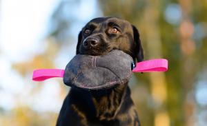 Joy of dog sport toughie tug toy leather pink  *Förköp - få 10% rabatt