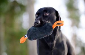 Joy of dog sport toughie tug toy leather orange *Förköp - få 10% rabatt