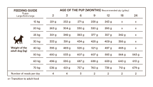 Monster Original Puppy L/XL