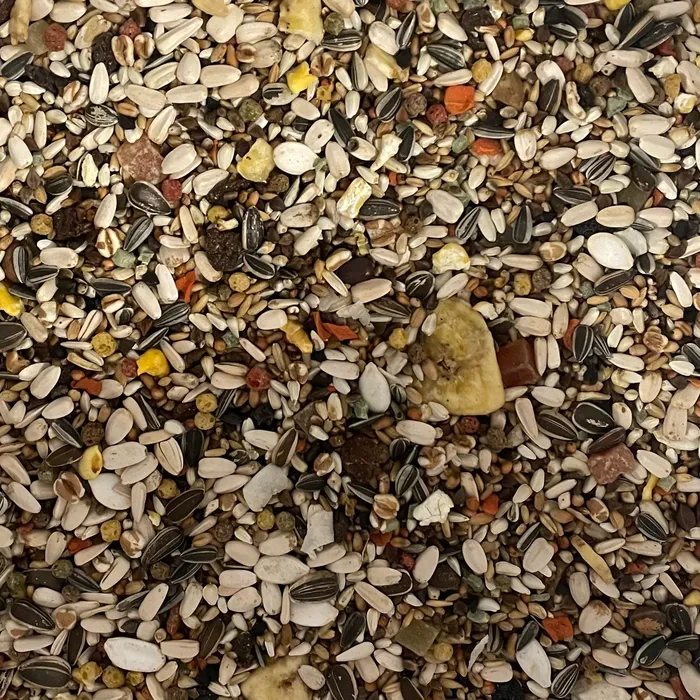 64 - Papegojblandning med Frukt